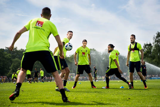 Mikael Lustig, Zlatan Ibrahimovic, Erkan Zengin och Emir