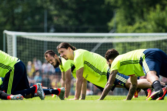 Zlatan Ibrahimovic