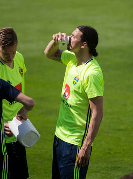 Zlatan Ibrahimovic