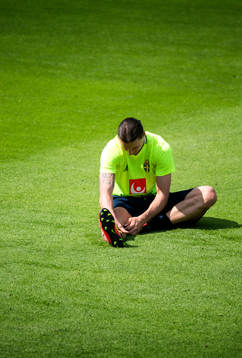 Zlatan Ibrahimovic
