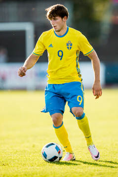 Sveriges Arber Zeneli