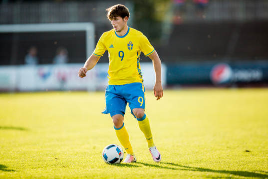 Sveriges Arber Zeneli