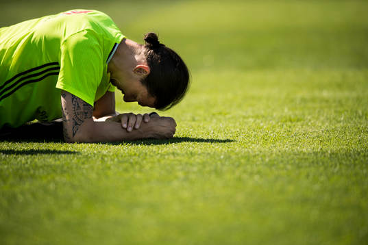 Zlatan Ibrahimovic
