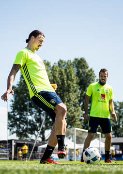 Zlatan Ibrahimovic och Emir Kujovic