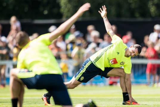 Zlatan Ibrahimovic