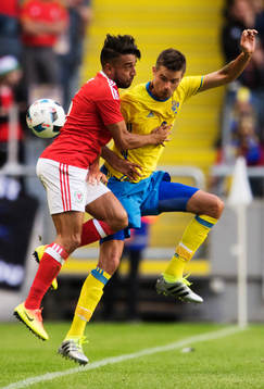 Wales Neil Taylor och Sveriges Mikael Lustig