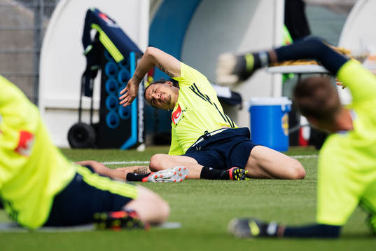 Zlatan Ibrahimovic stretchar