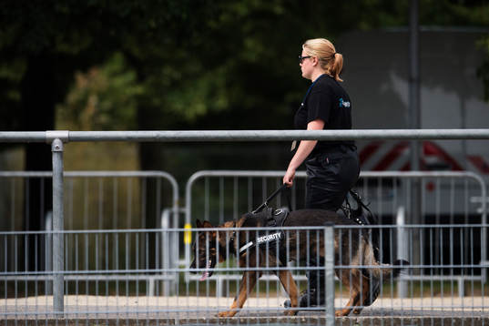 En säkerhetsvakt patrullerar med en hund