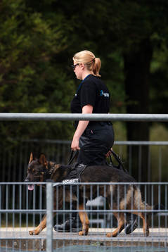 En säkerhetsvakt patrullerar med en hund