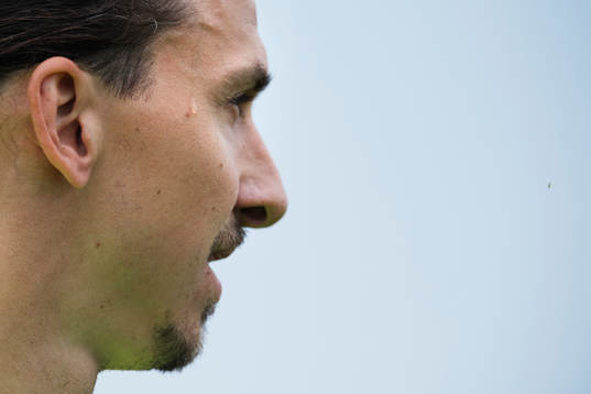 En svettdroppe rinner ner för tinningen på Zlatan