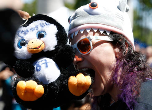A Sharks fan takes a beat of a Penguin