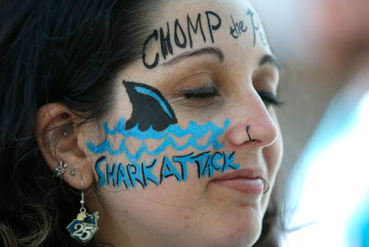 A Sharks fan decorates her face