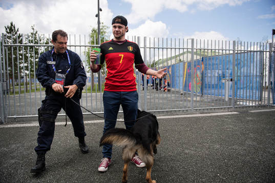 En polishund undersöker en belgisk fotbollssupporter