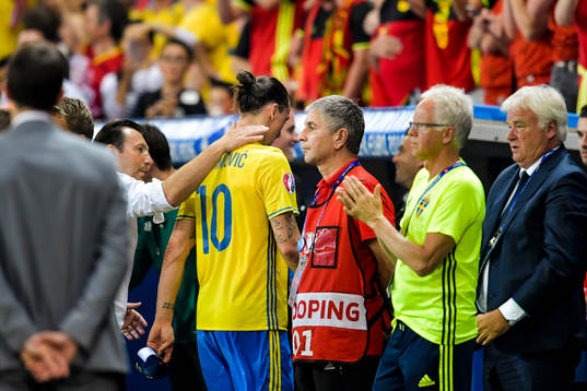 Belgiens förbundskapten Marc Wilmots klappar om Sveriges