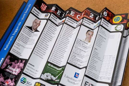 Matchprogrammet