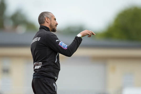 Helsingborgs manager Henrik Larsson