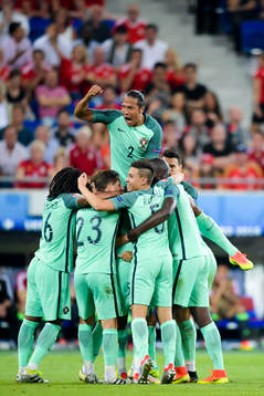 Portugals Bruno Alves  jublar med lagkamraterna