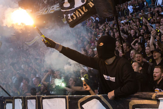 AIK-supporter med en bengal