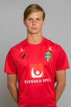 Bläddra bland fler bilder av Fotboll, P15/01, Sverige, Porträtt