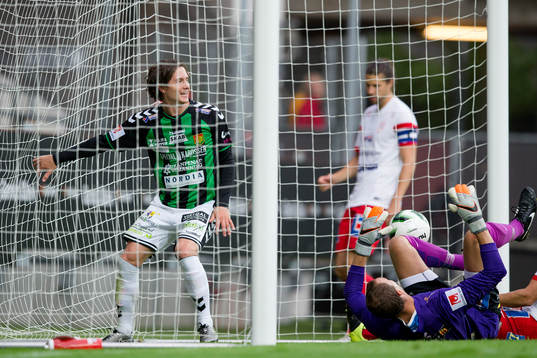 GAIS Robin Book jublar