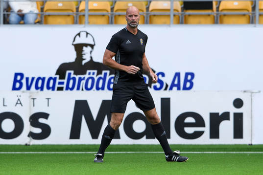 domare Stefan Johannesson