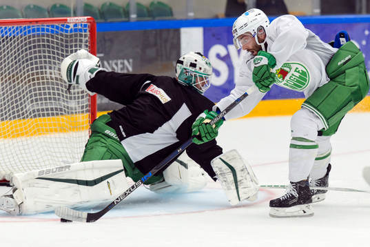 Bläddra bland fler bilder av Ishockey, Rögle Ispremiär
