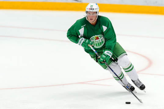 Rögles Davis Åslin