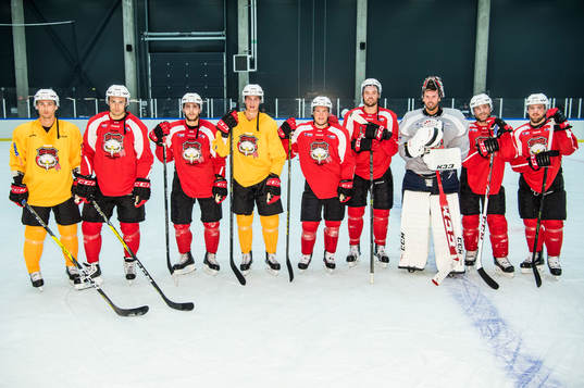 Nyförvärven Ilari Filppula, Fabian Brunnström,