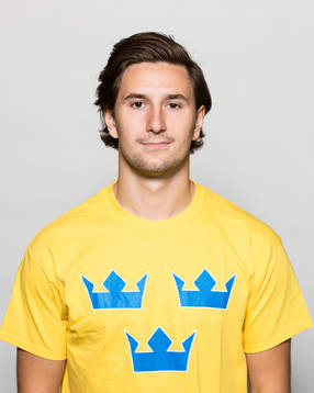 Sveriges Filip Forsberg
