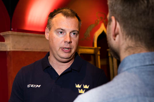 Förbundskapten Rikard Grönborg