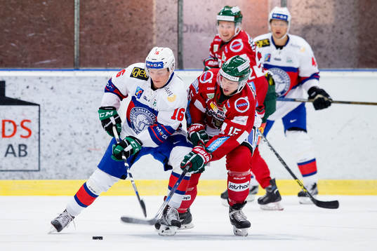 Norges Ludvig Hoff
