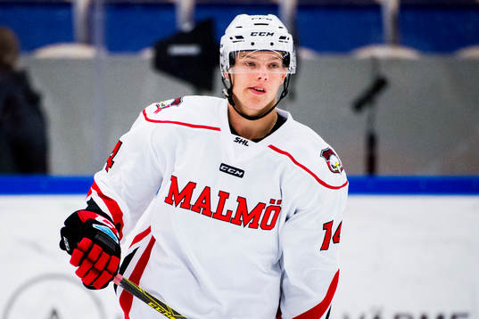 Malmö Redhawks Carl-Johan Lerby värmer upp