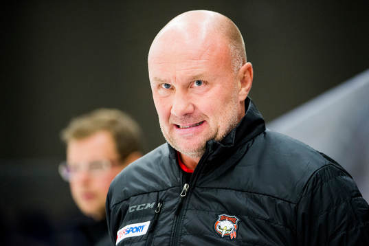 Malmö Redhawks tränare Peter Andersson