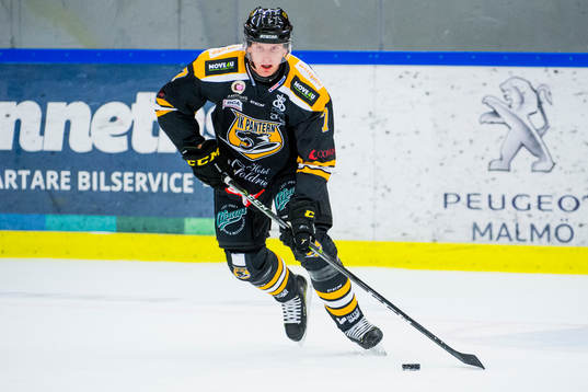 Panterns Filip Windlert