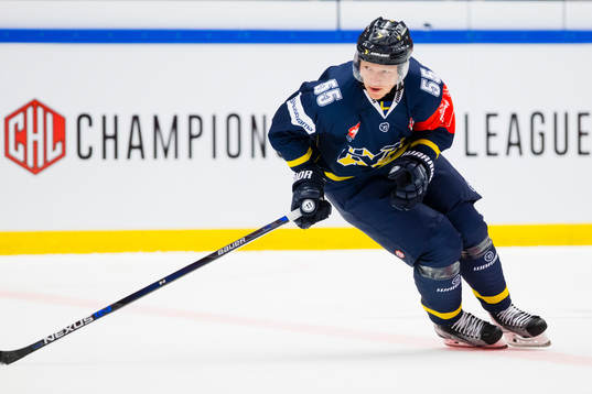 s Andreas Borgman