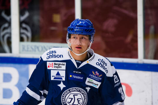 Leksands Daniel Bertov