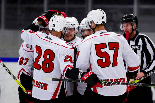 Malmö Redhawks spelare jublar