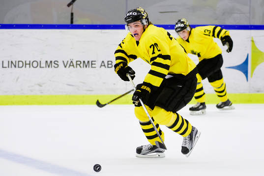 s Max Lindholm