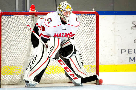 Malmö Redhawks målvakt Oscar Alsenfelt