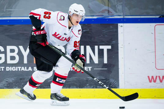Malmö Redhawks Fredrik Händemark