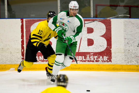 Rögles Alen Bibic