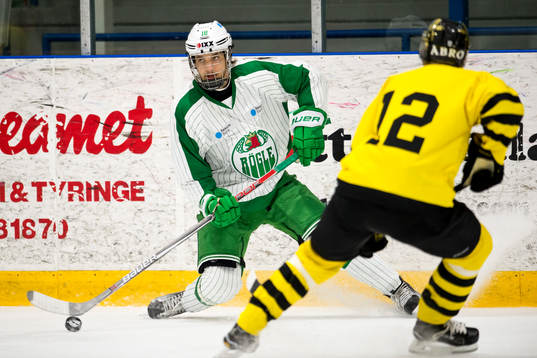 Bläddra bland fler bilder av Ishockey, träningsmatch, Rögle - AIK