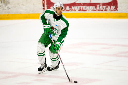 Rögles Dominik Grank