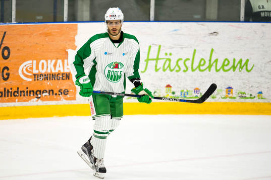 Rögles Almen Bibic