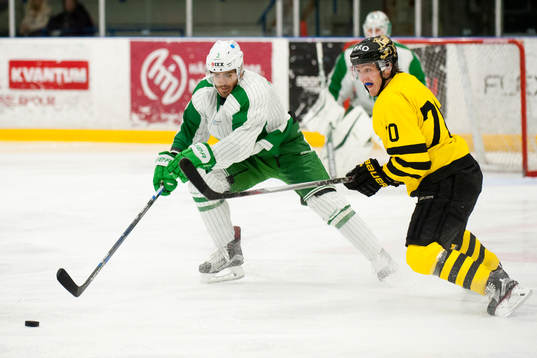 s Max Lindholm