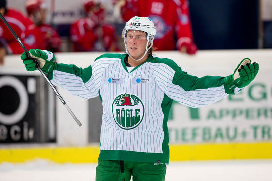 Rögles David Åslin