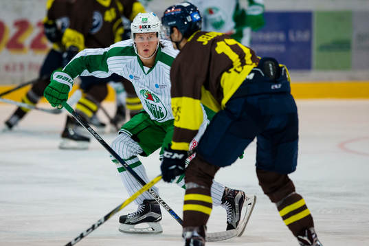 Rögles David Åslin