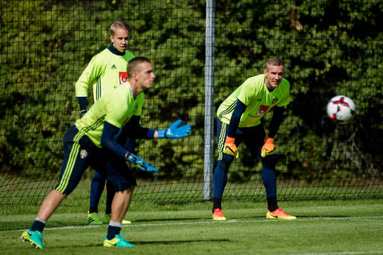 Karl-Johan Johnsson, Robin Olsen och Patrik Carlgren