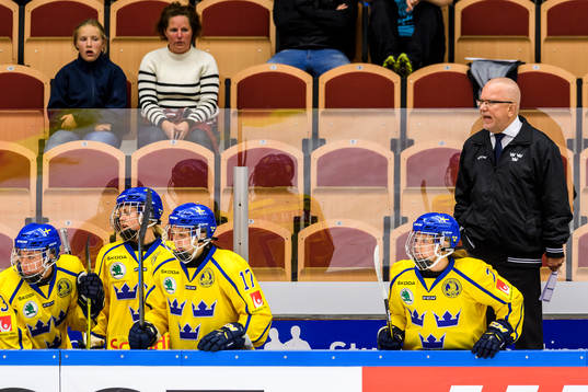 Sveriges förbundskapten Leif Boork