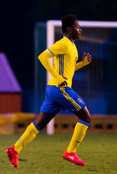 Sveriges York Rafael
